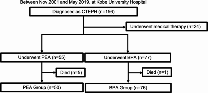 Difference in efficacy between pulmonary endarterectomy and balloon pulmonary angioplasty in chronic thromboembolic pulmonary hypertension.