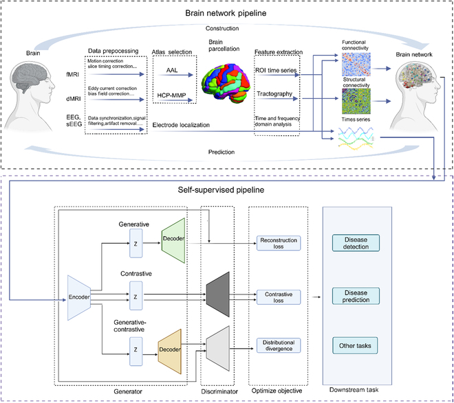 Self-Supervised Learning to Unveil Brain Dysfunctional Signatures in Brain Disorders: Methods and Applications.
