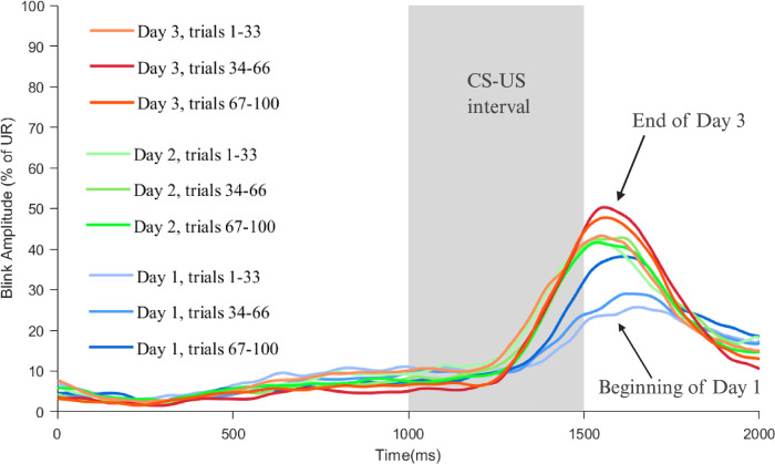 Training on multiple days results in better learning in embedded eyeblink conditioning in young human adults.