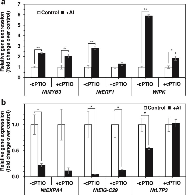 Oxygen supply is a prerequisite for response to aluminum in cultured cells of tobacco (Nicotiana tabacum).