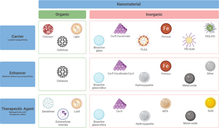 Multifunctional nanoparticles in endodontics: applications, challenges, and future directions