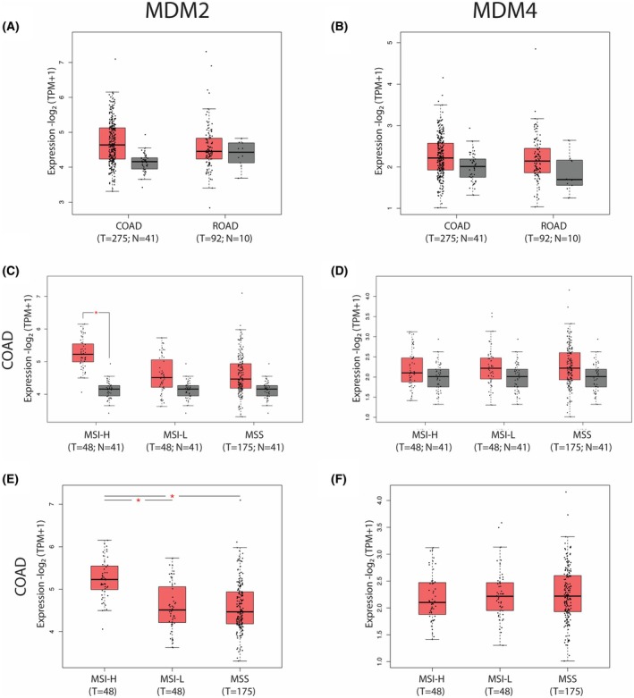 Targeting the MDM2-MDM4 interaction interface reveals an otherwise therapeutically active wild-type p53 in colorectal cancer.