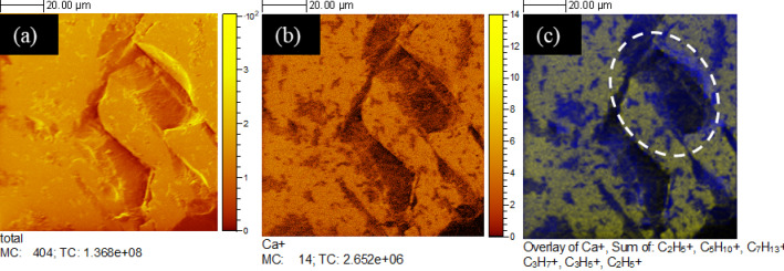 Effect of substrate mineralogy, biofilm and extracellular polymeric substances on bacterially induced carbonate mineralisation investigated with in situ nanoscale ToF-SIMS.