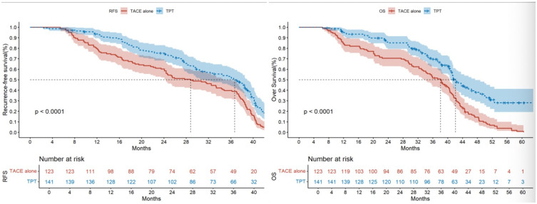 Whether Adjuvant TACE Plus TKI Therapy is More Effective Than TACE Alone in HCC Patients at High Risks of Recurrence Following Radical Hepatectomy.