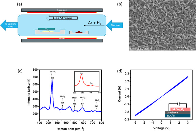 Inducing memristive behavior to MoSe<sub>2</sub>/graphene bilayer using plasma treatment.