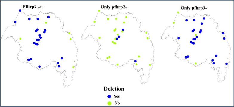 Deletion of target gene (histidine-rich protein 2/3) for Plasmodium falciparum rapid diagnostic tests in Amhara region, Ethiopia: a cross-sectional study.