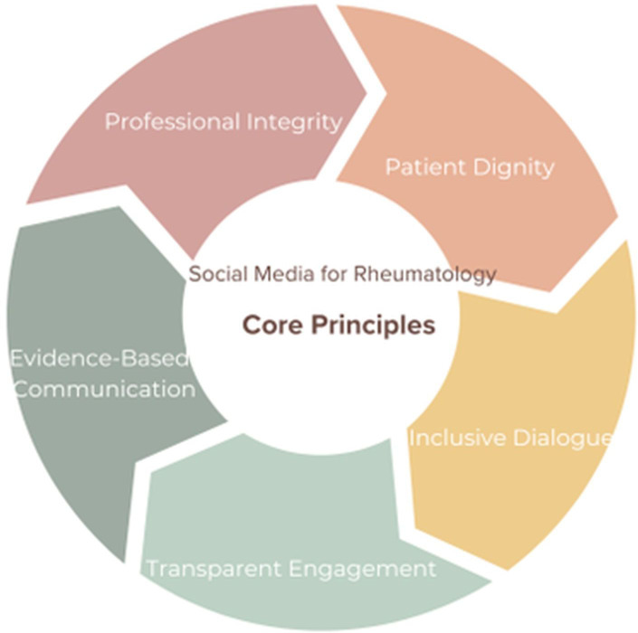 Declaration on the use of social media for rheumatology professionals.