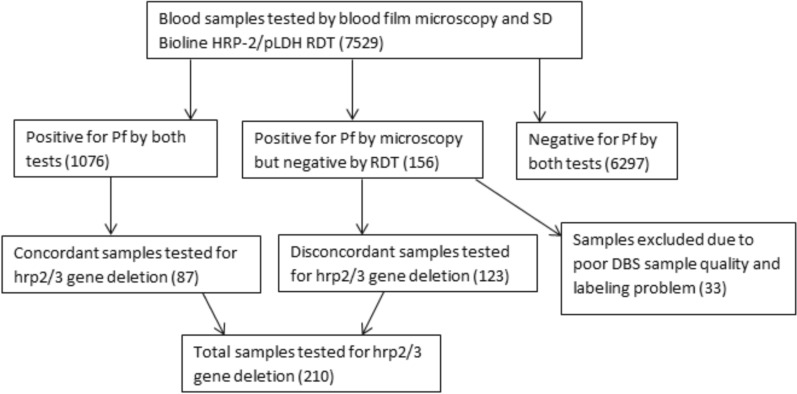 Deletion of target gene (histidine-rich protein 2/3) for Plasmodium falciparum rapid diagnostic tests in Amhara region, Ethiopia: a cross-sectional study.