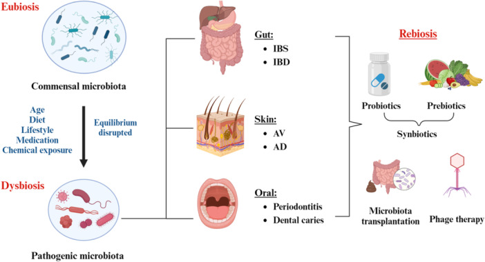 Microbiota-Host Interactions: Exploring Their Dynamics and Contributions to Human Diseases.