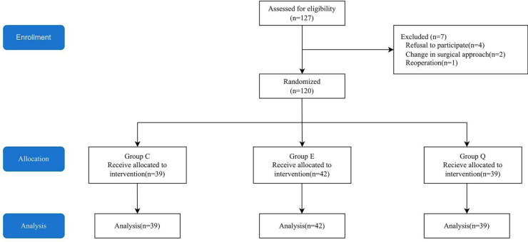 Impact of Posterior Quadratus Lumborum Block on Acute Pain Relief and Chronic Pain Prevention in Breast Cancer Surgery.