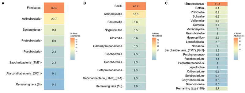 Longitudinal impact of oral bacteria and endotoxin on lung function.
