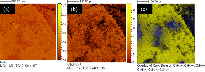 Effect of substrate mineralogy, biofilm and extracellular polymeric substances on bacterially induced carbonate mineralisation investigated with in situ nanoscale ToF-SIMS.