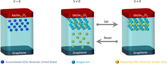 Inducing memristive behavior to MoSe<sub>2</sub>/graphene bilayer using plasma treatment.