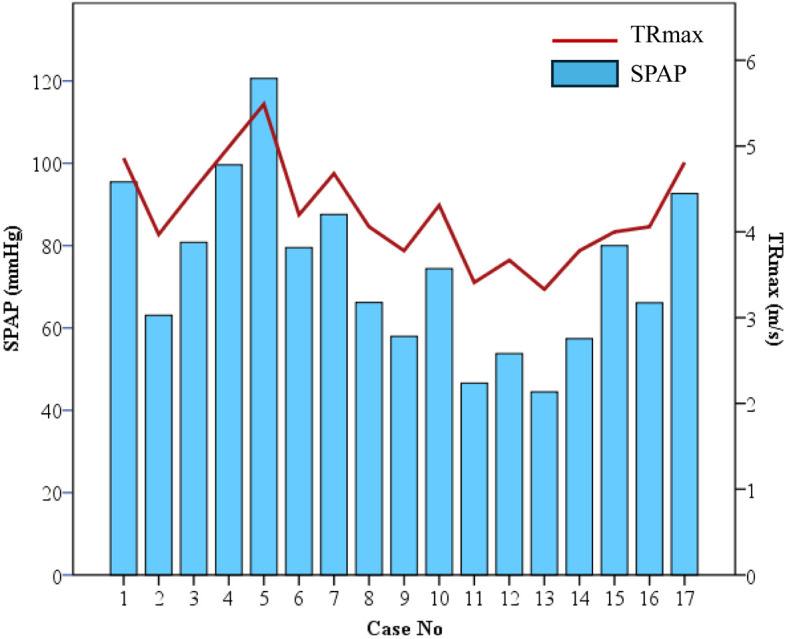 A pilot study investigating renal biomarkers in dogs with pulmonary hypertension: a comparison between cystatin-C, symmetric dimethylarginine, and creatinine.