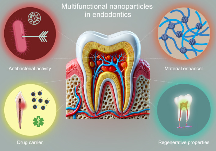 Multifunctional nanoparticles in endodontics: applications, challenges, and future directions