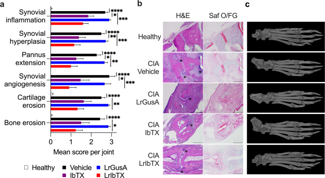 Limosilactobacillus reuteri enables oral-to-systemic absorption of iberiotoxin for treatment of collagen-induced arthritis in rats.