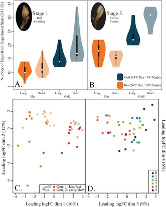 Gene Regulatory Changes Associated With Phenological Transitions in an Ecologically Significant Tree Species.