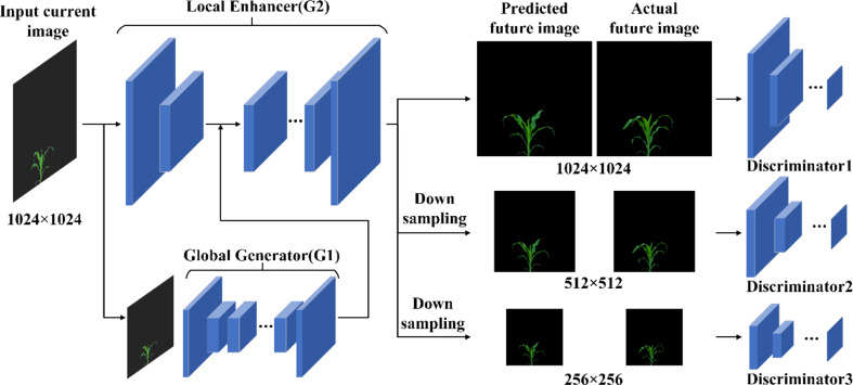 GAN-based image prediction of maize growth across varieties and developmental stages.