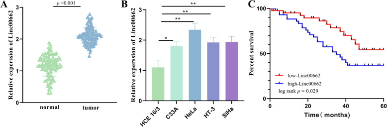 Prognostic value of Linc00662/miR-16-5p/FASN in cervical cancer and regulation of tumor progression.