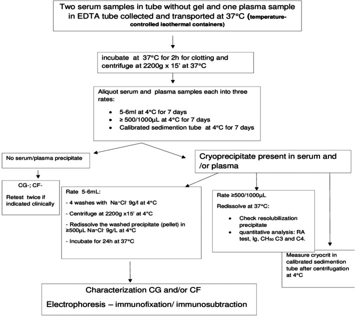 Laboratory Practices for the Detection and Characterization of Cryoglobulins and Cryofibrinogen.
