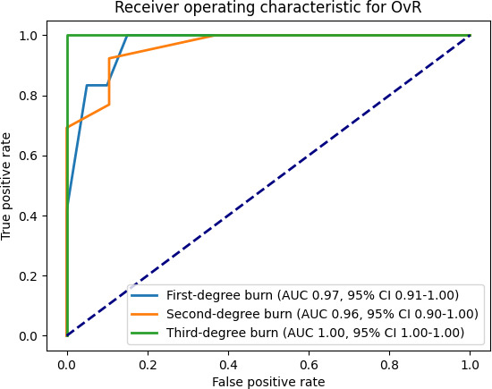 AI-Driven Integrated System for Burn Depth Prediction With Electronic Medical Records: Algorithm Development and Validation.