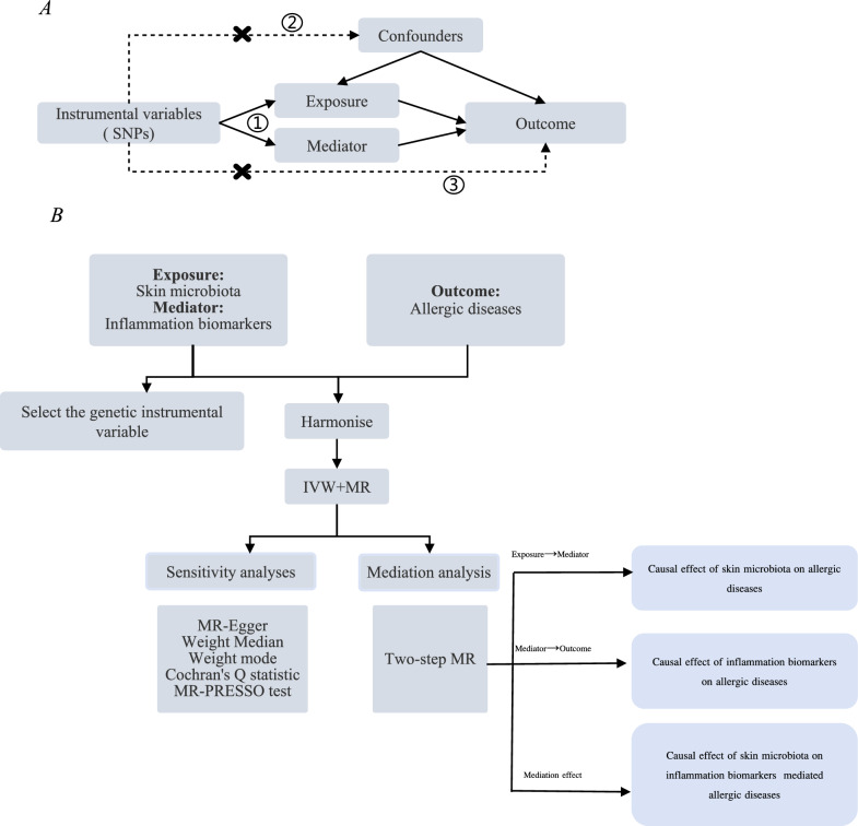 Inflammation biomarkers mediate causal inference of the effect of skin microbiota on the risk of allergic diseases.