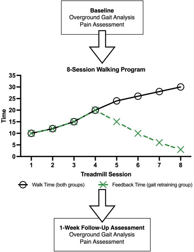 Gait Retraining to Reduce Tibial Acceleration Versus a Standard Walking Program for Reducing Knee Pain and Loading in Adults With Knee Osteoarthritis: A Randomized Feasibility Trial.