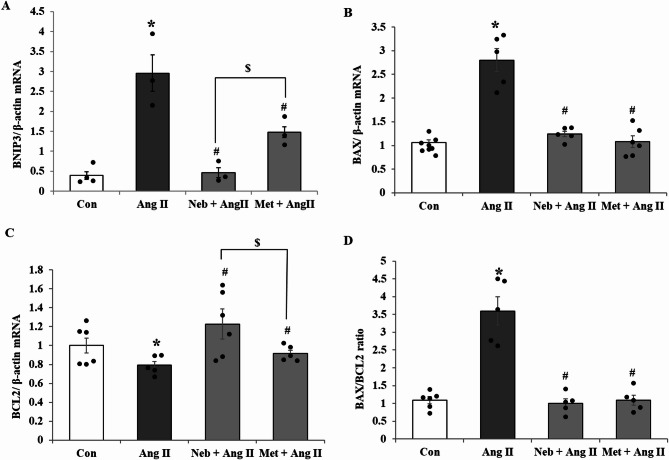 Differential effects of β-blockers nebivolol and metoprolol on mitochondrial biogenesis and antioxidant defense in angiotensin II-induced pathology in H9c2 cardiomyoblasts.