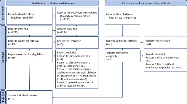 Economic Evaluations and Equity in the Use of Artificial Intelligence in Imaging Examinations for Medical Diagnosis in People With Dermatological, Neurological, and Pulmonary Diseases: Systematic Review.