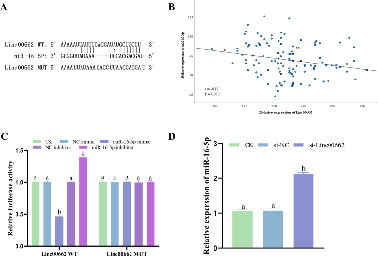 Prognostic value of Linc00662/miR-16-5p/FASN in cervical cancer and regulation of tumor progression.