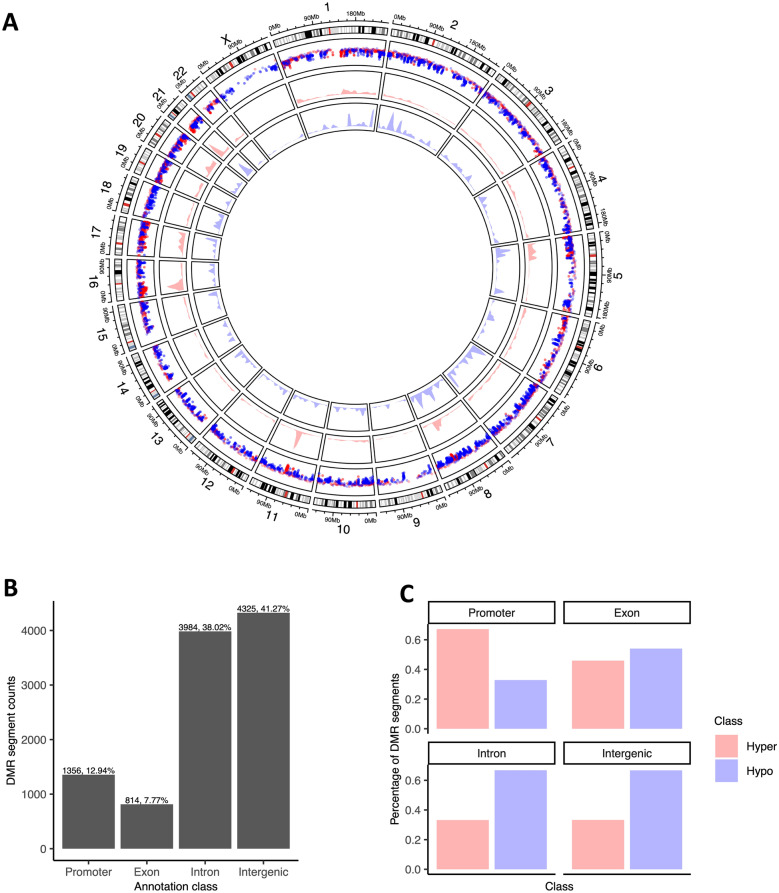 Detection of genome-wide methylation changes in bladder cancer by long-read sequencing of urinary DNA.