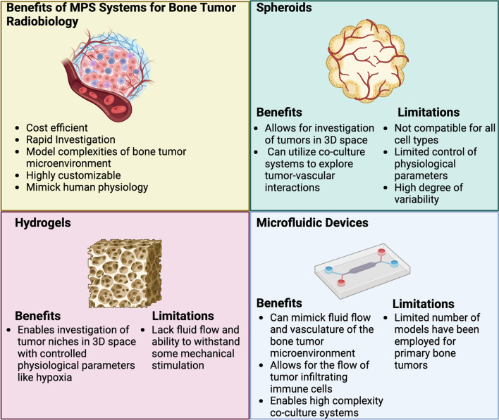 Modeling the effects of radiation on the bone tumor microenvironment: opportunities for exploring combination therapies in microphysiologic systems.