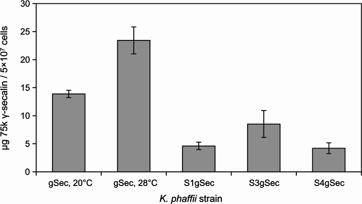 Higher induction temperatures and the native secretion signal peptide promote rye prolamin 75k γ-secalin production in Komagataella phaffii.
