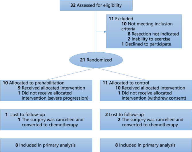 Feasibility, safety and preliminary effect of exercise prehabilitation in patients with esophageal cancer undergoing surgery: an open-label, randomized, parallel-group pilot and feasibility study.