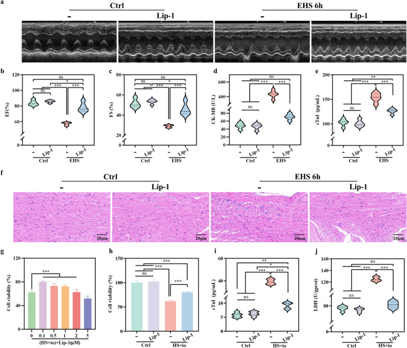 INHIBITING ALOX15 PREVENTS MYOCARDIAL INJURY INDUCED BY EXERTIONAL HEAT STROKE.