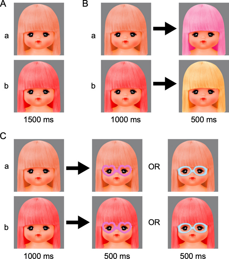 Visual change-related brain potentials elicited by changes in doll hair color in school-aged children.