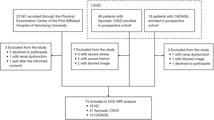 Meningeal lymphatic dysfunction in sporadic cerebral small vessel diseases and cerebral autosomal dominant arteriopathy with subcortical infarcts and leukoencephalopathy by DCE-MRI.