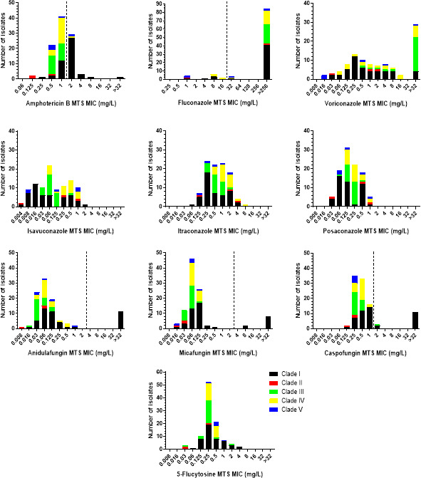 Evaluation of the MIC test strips for antifungal susceptibility testing of <i>Candidozyma auris</i> (<i>Candida auris</i>) using a representative international collection of isolates.