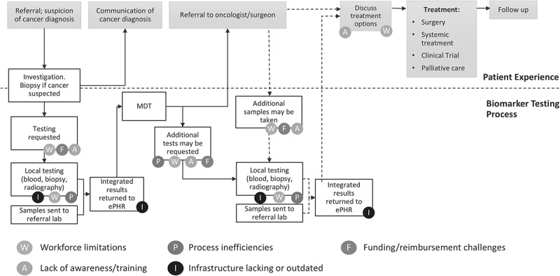 Access to treatment-guiding biomarkers in the UK: surveys of cancer patients and healthcare professionals.