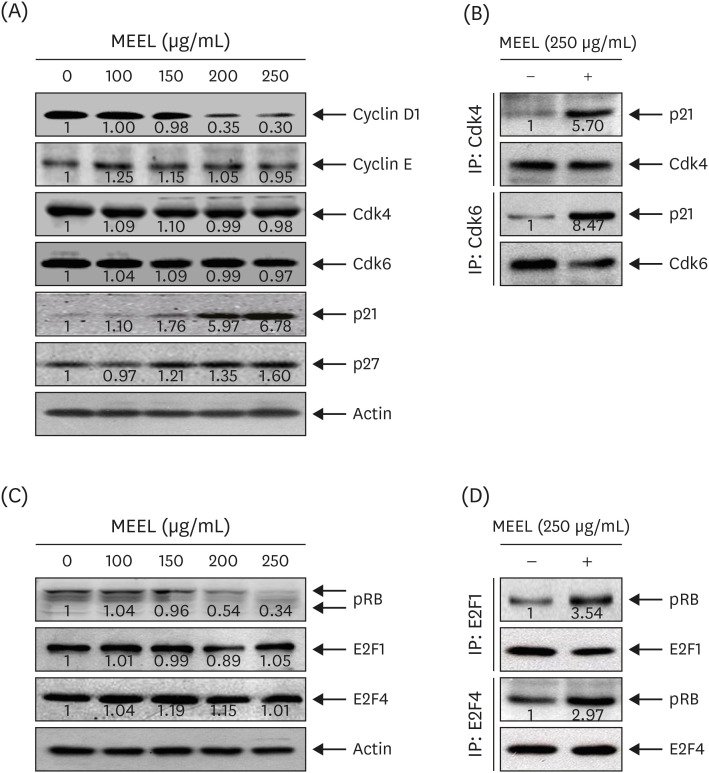 Methyl alcohol extract of marine green alga <i>Enteromorpha linza</i> (Linnaeus) J. Agardh. induces reactive oxygen species-dependent growth arrest and apoptosis in human hepatocellular carcinoma Hep3B cells.