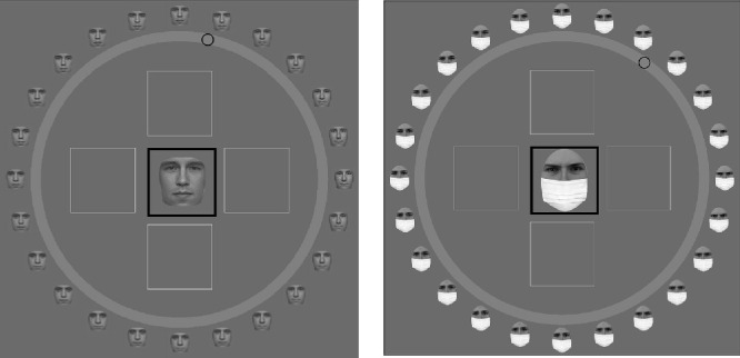 Ensemble perception of faces with naturalistic occlusions.