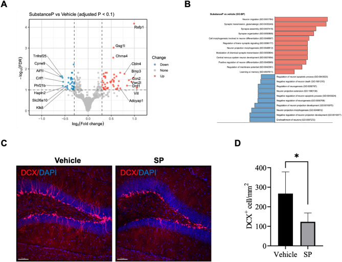 Peripheral substance P induces deficits in hippocampal synaptic plasticity and memory.