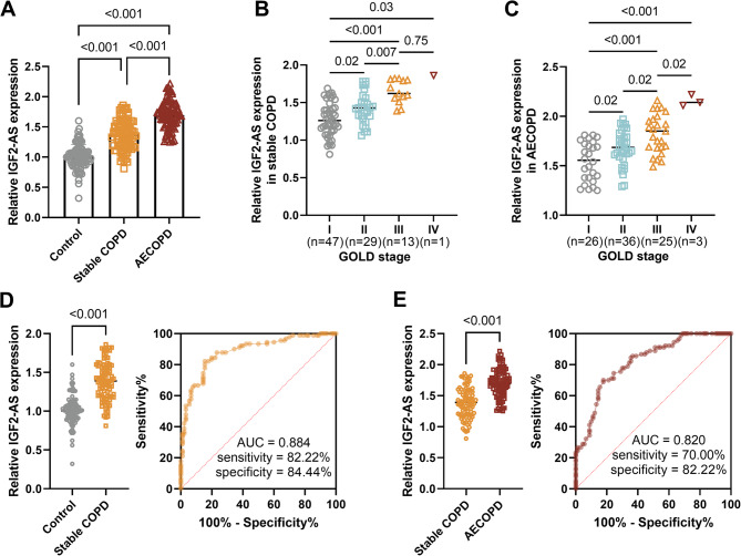 LncRNA IGF2-AS serves as a miR-106b-5p sponge to induce apoptosis and inflammatory reaction of bronchial epithelial cells in COPD.