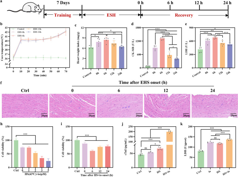 INHIBITING ALOX15 PREVENTS MYOCARDIAL INJURY INDUCED BY EXERTIONAL HEAT STROKE.