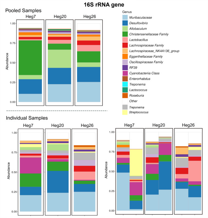 Microbial exchange at the wildlife-livestock interface: insights into microbial composition, antimicrobial resistance and virulence factor gene dynamics in grassland ecosystems.