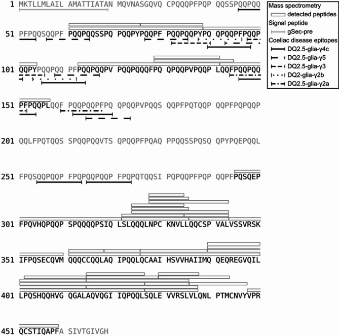 Higher induction temperatures and the native secretion signal peptide promote rye prolamin 75k γ-secalin production in Komagataella phaffii.