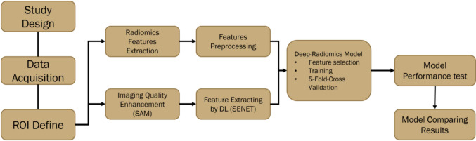 18F-FDG PET/CT-based deep radiomic models for enhancing chemotherapy response prediction in breast cancer.