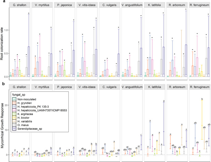 Ericoid mycorrhizal growth response is influenced by host plant phylogeny.