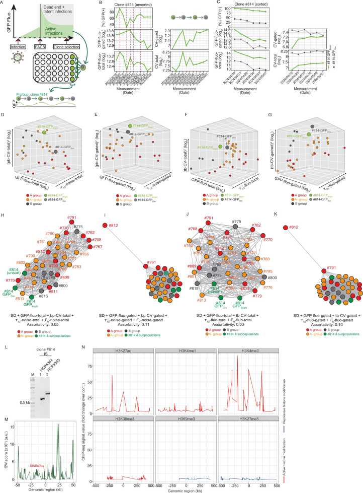 The influence of HIV sense and antisense transcripts on stochastic HIV transcription and reactivation.