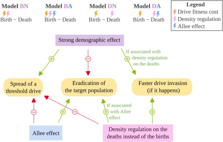 The Spatial Spread and the Persistence of Gene Drives Are Affected by Demographic Feedbacks, Density Dependence and Allee Effects.